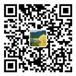 乐发彩票登录首页大厅
